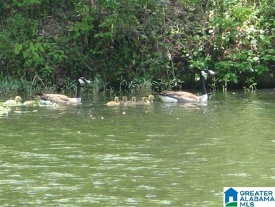 Enjoy this very quiet, peaceful, gated Lay Lake community with - photo 2
