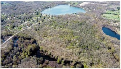 (private lake, pond, creek) Acreage For Sale in Linden Michigan