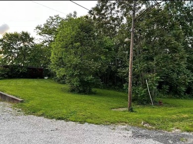 Discover this great double residential lot in the heart of - photo 3