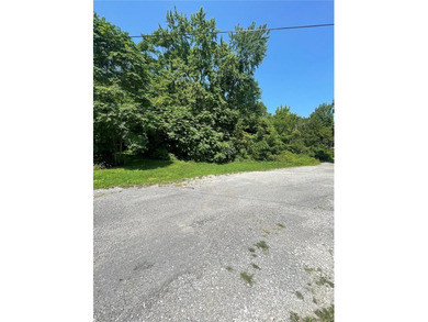Discover this great double residential lot in the heart of - photo 4