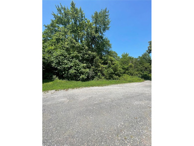 Discover this great double residential lot in the heart of - photo 6