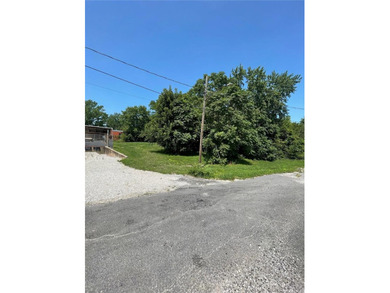Discover this great double residential lot in the heart of - photo 8