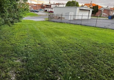 Discover this great double residential lot in the heart of - photo 10