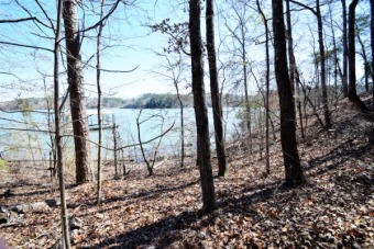 Wooded Lot, Rock Formations, Smith Lake - Lake Lot For Sale in Double Springs, Alabama