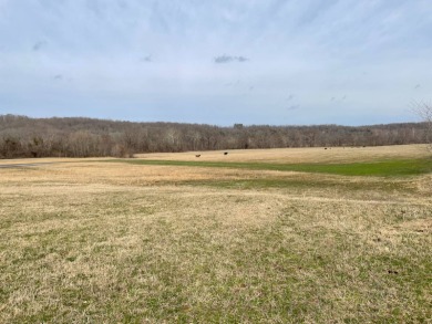 (private lake, pond, creek) Acreage For Sale in Poughkeepsie Arkansas