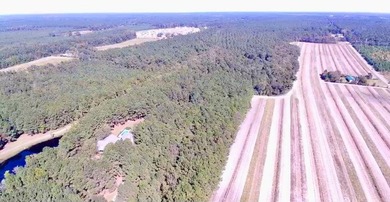 Gorgeous prime property in the highly developing area of Cane - photo 1