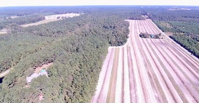 Gorgeous prime property in the highly developing area of Cane - photo 2