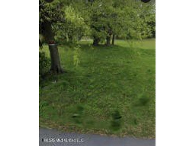 Vacant lot ready for you to build - photo 1