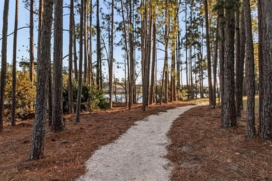 Custom Built, Move-In Ready home in Amelia Park, a New Urbanism - photo 50