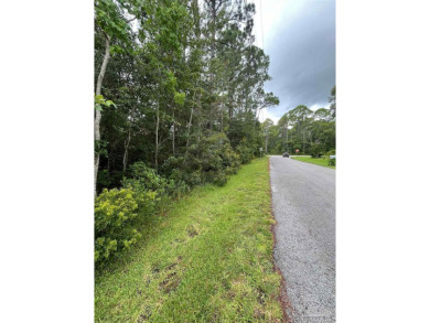Blackwater River Lot For Sale in Milton Florida