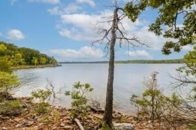 Table Rock Lake Acreage For Sale in Lampe Missouri