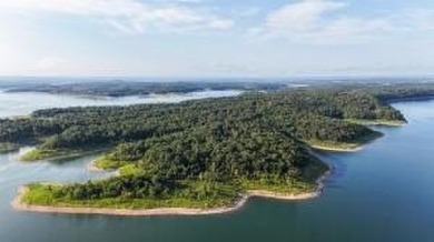 Bull Shoals Lake Acreage For Sale in Lead Hill Arkansas