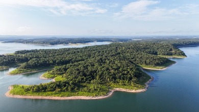 Lake Acreage For Sale in Lead Hill, Arkansas