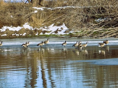Just in time for Spring! Let you and your family make memories - photo 12
