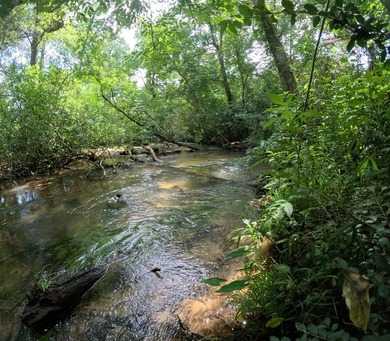 Camp Silver Creek-Welcome to a rare opportunity to own an 82 - photo 20