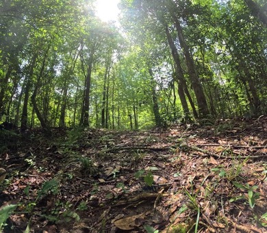 Camp Silver Creek-Welcome to a rare opportunity to own an 82 - photo 36