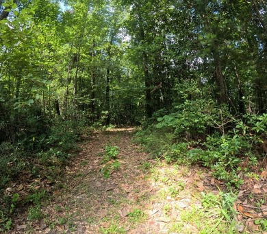 Camp Silver Creek-Welcome to a rare opportunity to own an 82 - photo 39