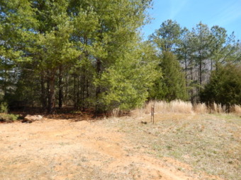 Kentucky Lake Lot For Sale in Springville Tennessee