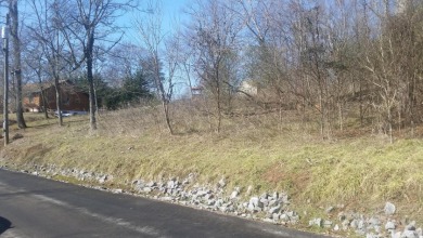 Wooded .60-Acre Lot in Gated Cherokee Lake Community SOLD - photo 9