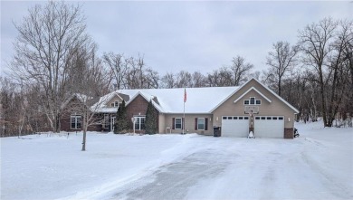 Lake Home For Sale in Pine Lake Twp, Minnesota