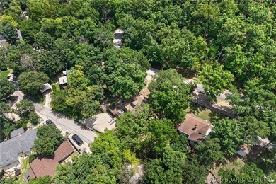 Lake view and lake access home at the Big Niangua 2MM with - photo 44