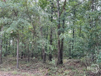 (private lake, pond, coastal) Acreage For Sale in Hull Georgia