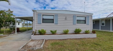 Lake Home For Sale in N Ft Myers, Florida
