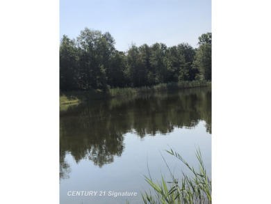 Lake Acreage For Sale in Linwood, Michigan