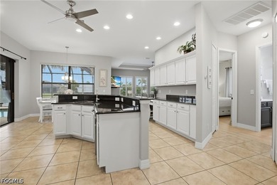 Gulf access paradise in SW Cape Coral. Welcome to waterfront - photo 13