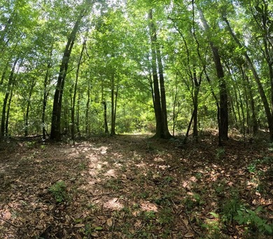 Camp Silver Creek-Welcome to a rare opportunity to own an 82 - photo 37