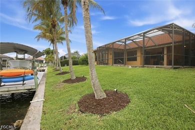Gulf access paradise in SW Cape Coral. Welcome to waterfront - photo 41