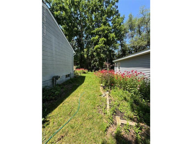 Behind the trees and overgrowth, there is a home just waiting to - photo 2