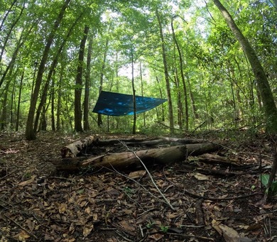 Camp Silver Creek-Welcome to a rare opportunity to own an 82 - photo 46