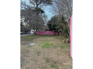 Great Location!!! Currently the Pink House Florist. Zoning is - photo 9