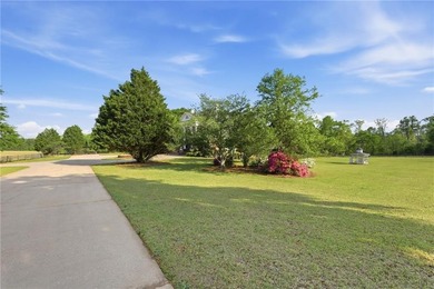 Truly majestic southern plantation living only about an hour - photo 10