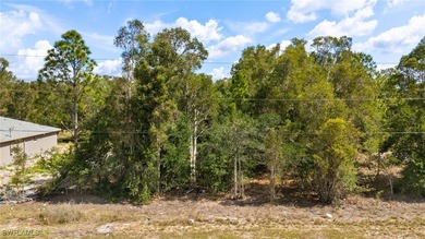 Lehigh Acres Area Lot For Sale in Lehigh Acres Florida
