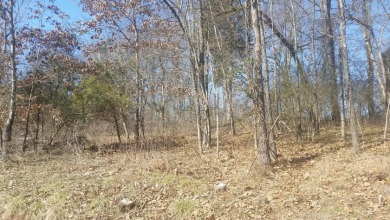 Wooded .60-Acre Lot in Gated Cherokee Lake Community SOLD - photo 7