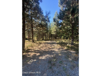 Lake Lot For Sale in Hayden, Idaho