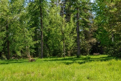 Create your dream home on this enchanted woodland 5.03 acre - photo 15