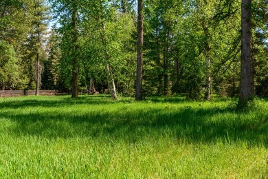 Create your dream home on this enchanted woodland 5.03 acre - photo 17