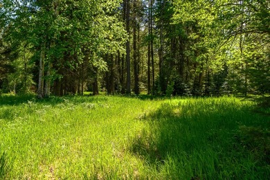 Create your dream home on this enchanted woodland 5.03 acre - photo 18