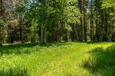 Create your dream home on this enchanted woodland 5.03 acre - photo 19