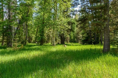 Create your dream home on this enchanted woodland 5.03 acre - photo 20