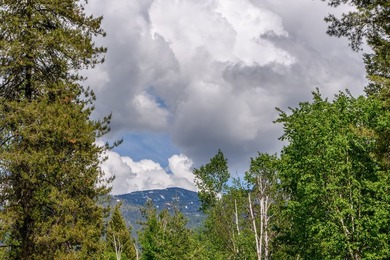 Create your dream home on this enchanted woodland 5.03 acre - photo 22