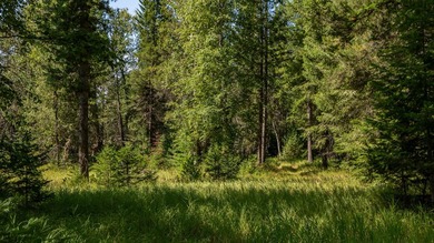 Create your dream home on this enchanted woodland 5.03 acre - photo 24