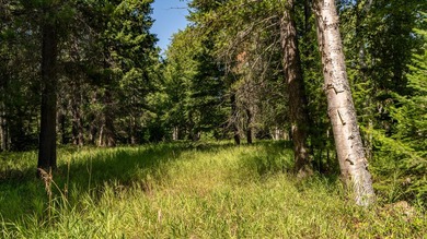 Create your dream home on this enchanted woodland 5.03 acre - photo 25