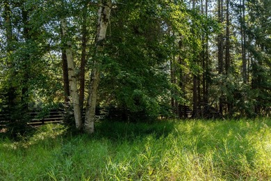 Create your dream home on this enchanted woodland 5.03 acre - photo 26