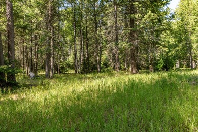 Create your dream home on this enchanted woodland 5.03 acre - photo 27