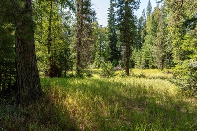 Create your dream home on this enchanted woodland 5.03 acre - photo 28