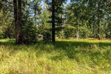 Create your dream home on this enchanted woodland 5.03 acre - photo 29